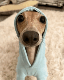 IMG_5166.gif