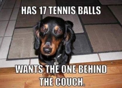 IMG_8233.jpeg