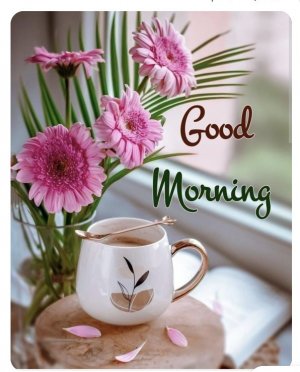 good morning 5 2.jpg
