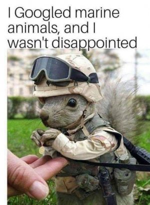 194278671_10166137707580377_947325319603415237_n.jpg