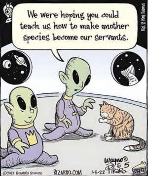 Aliens & cat.jpg