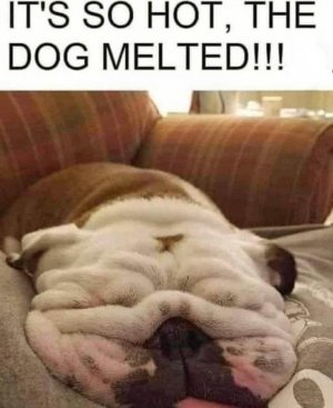 IMG_8215.jpeg