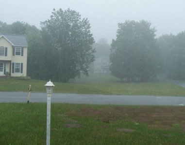 rain1 July 17 2024.jpg