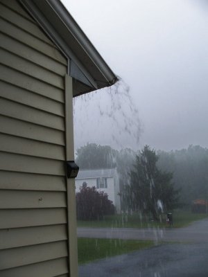 rain2 July 17 2024.jpg