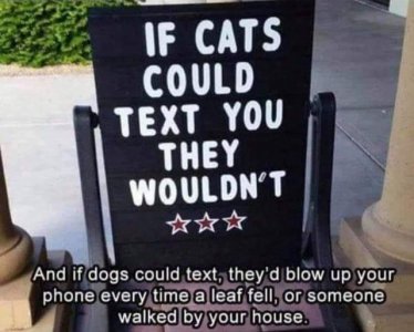 449367779_7726736720715146_8841215242301939625_n.jpg