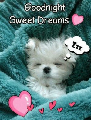 68d230b6322ce7341250bfa00d667517.jpg