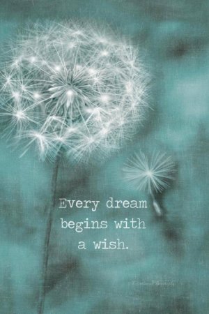 089f6ccf1404be4f26c5f20f9626ea73[1].jpg