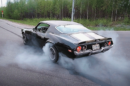 muscle_cars_01-243404075.gif