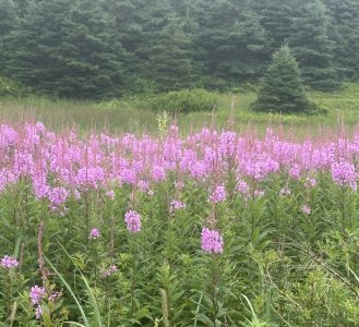 IMG_5182.jpeg