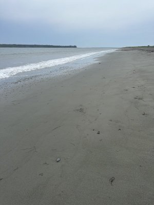 IMG_5196.jpeg