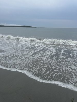IMG_5199.jpeg