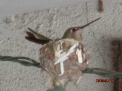 DSC00776.JPG