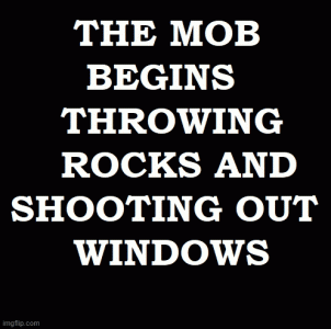 window+-.gif