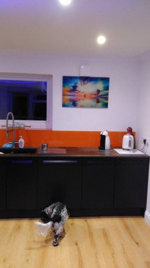 IMG_20220112_173008.jpg