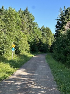 IMG_5203.jpeg