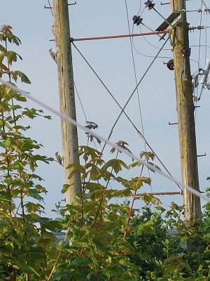 20240721_071401.jpg