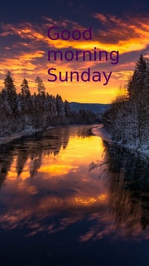 87F17E71-5E31-48CF-9EBA-573EA868CB55.jpeg