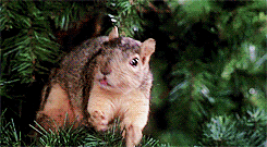 87915748af5a323e16b9300c9ddb47ff.gif