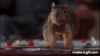 RaR5Ch.gif