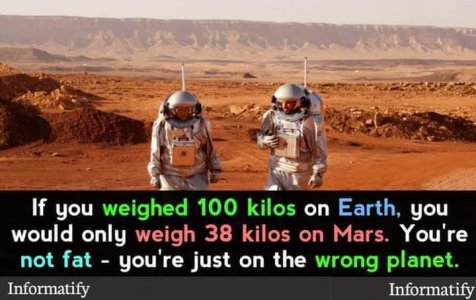 FB_IMG_1718288529236.jpg