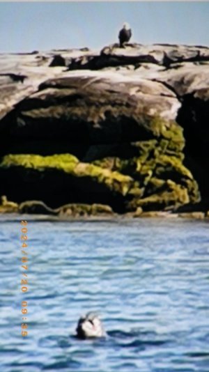 IMGP4388.JPG