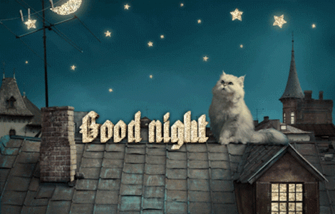 Good-Night-GIF-Cat.gif
