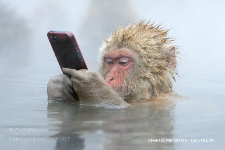 stock-photo-74081427.jpg