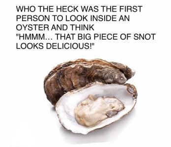 oyster.jpg