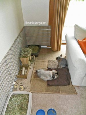 apt_buns.jpg
