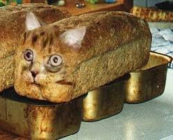cat bread.jpg