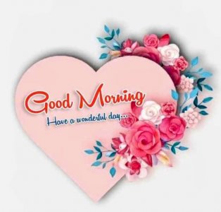 good-morning-img22~2.jpg