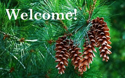 White Pine Welcome.jpg