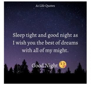 good night quote.jpg