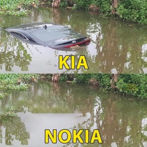 kia.jpg