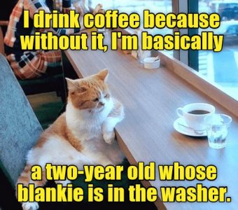 blankieinwasher.jpg