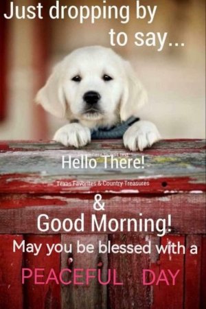 7b5e619b5099605cde17414416ecfb0b[1].jpg