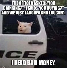1721920203304.jpeg