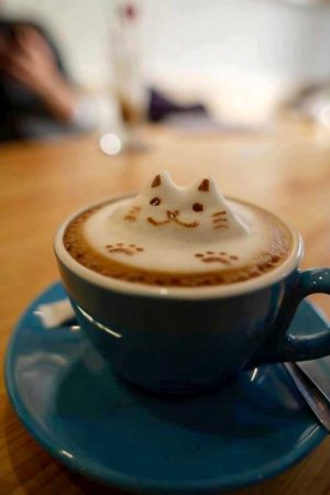 cattitude latte.jpg
