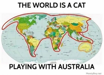 playingwithacat.jpg