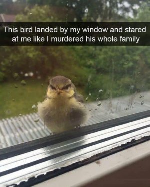 IMG_8356.jpeg