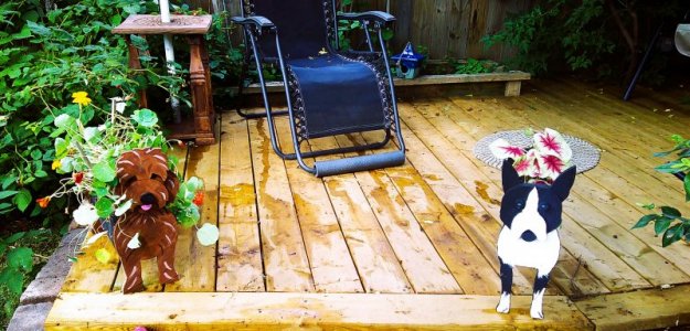 Poupoune&Spawnflowerpots.JPG