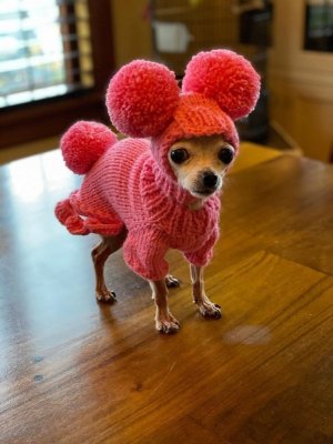 14a6f0760c5a41f8a20f69ea01bfdc79.jpg