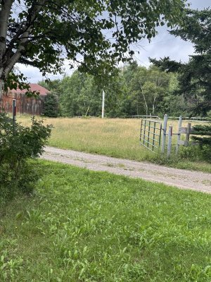 IMG_5295.jpeg