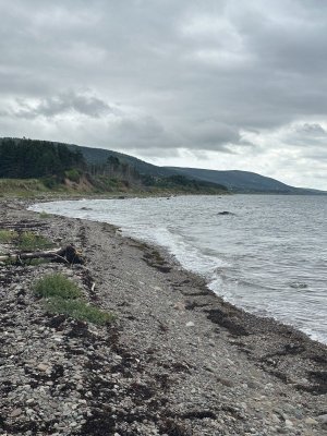 IMG_5303.jpeg