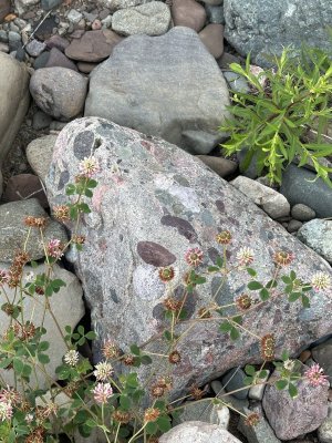 IMG_5305.jpeg
