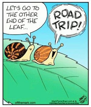 snailroadtrip.jpg