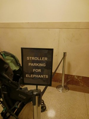 IMG_8371.jpeg