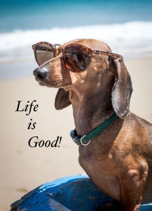 3fa8e8b4b97eec6880f4e52a62276461[1].jpg
