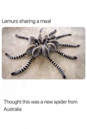452282568_7690457627670423_4426801851754158302_n~2.jpg