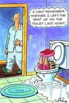 toiletseatup.jpg
